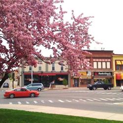 Click to view album: Downtown Owosso